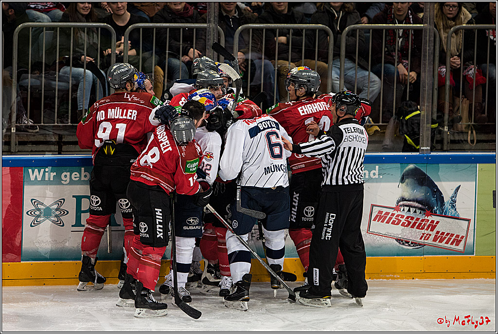 DEL, Koelner Haie - Red Bull Muenchen, 03.01.2017
